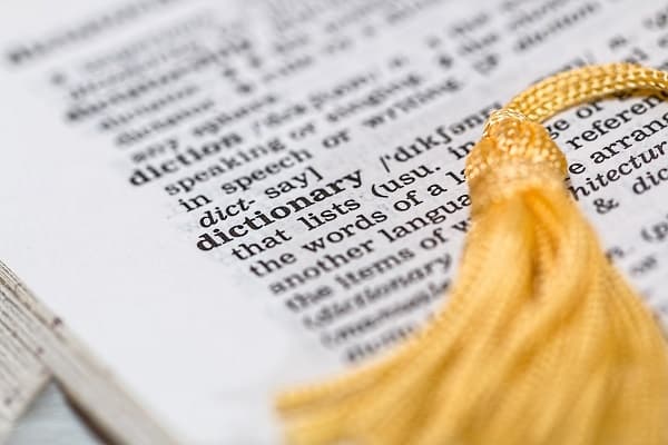 LITERARY AND LINGUISTIC STUDIES