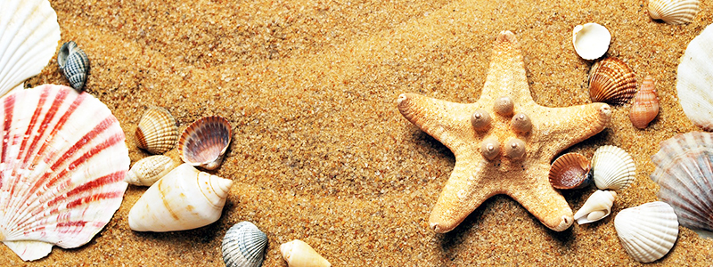 Sea, sand, tranquility Sea, sand, tranquility